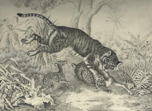 Raden Sarief Bustaman Saleh (Terboyo, Java circa 1807-1880 Bogor, Java)