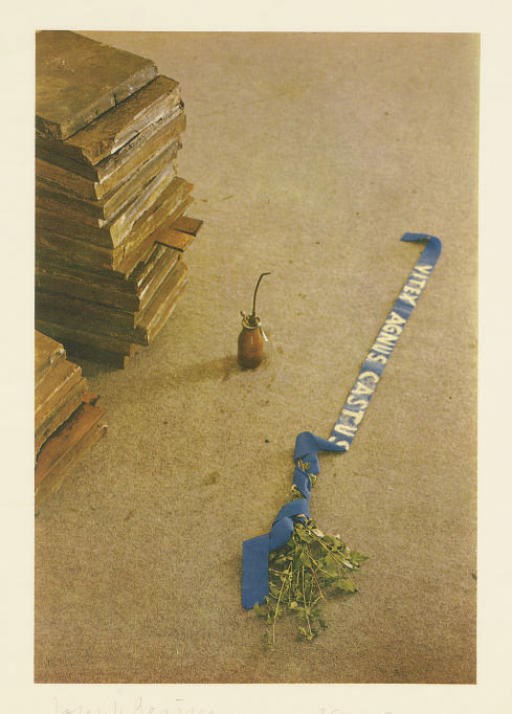 JOSEPH BEUYS
