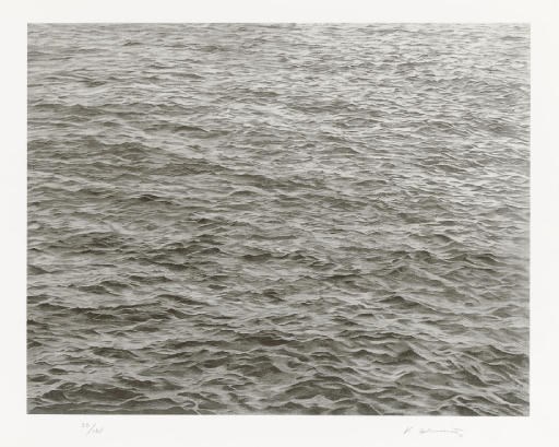 VIJA CELMINS