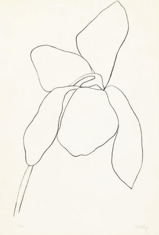 ELLSWORTH KELLY