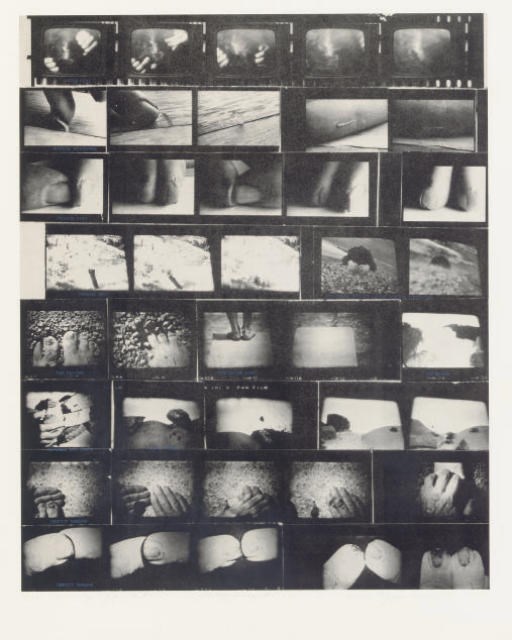 DENNIS OPPENHEIM (B. 1938)
