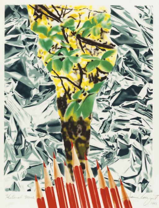 JAMES ROSENQUIST