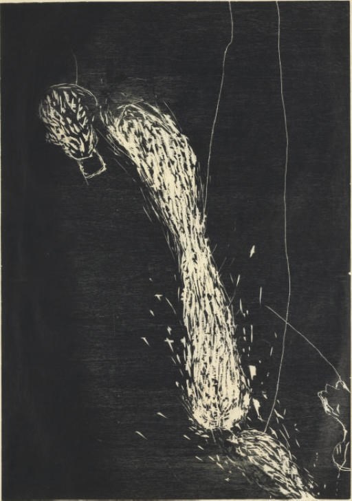 SUSAN ROTHENBERG