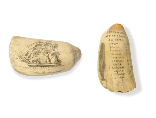 A 19th century scrimsahw whale's tooth of the whaler Maria Orr**