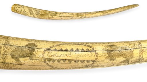 A 19th century scrimshaw decorated walrus' tusk**