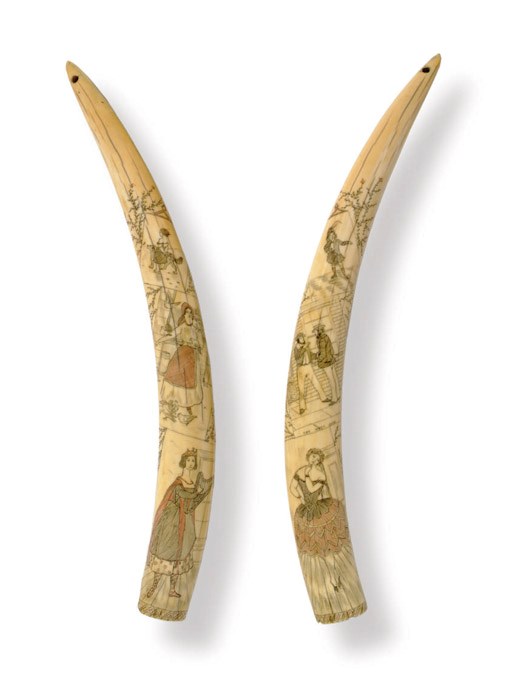 A pair of scrimshaw walrus tusks**