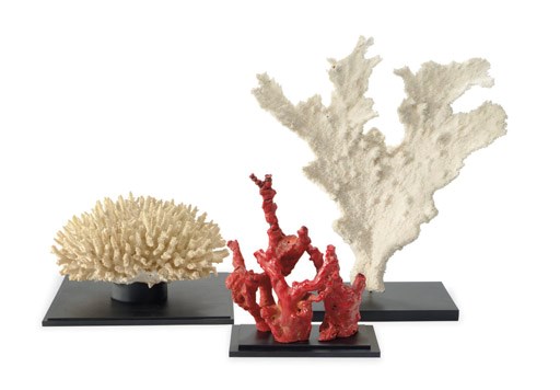 A set of three decorative coral specimens