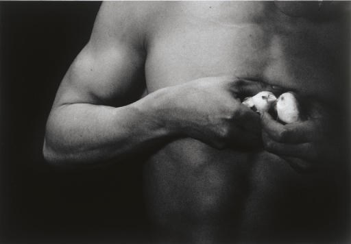 EIKOH HOSOE (b. 1933)
