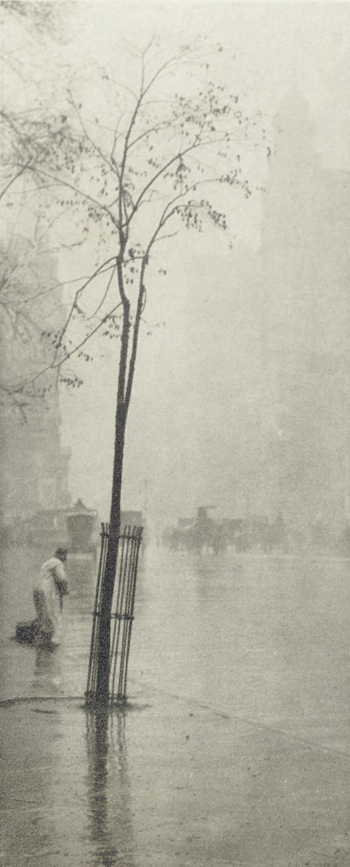 ALFRED STIEGLITZ (1864-1946)