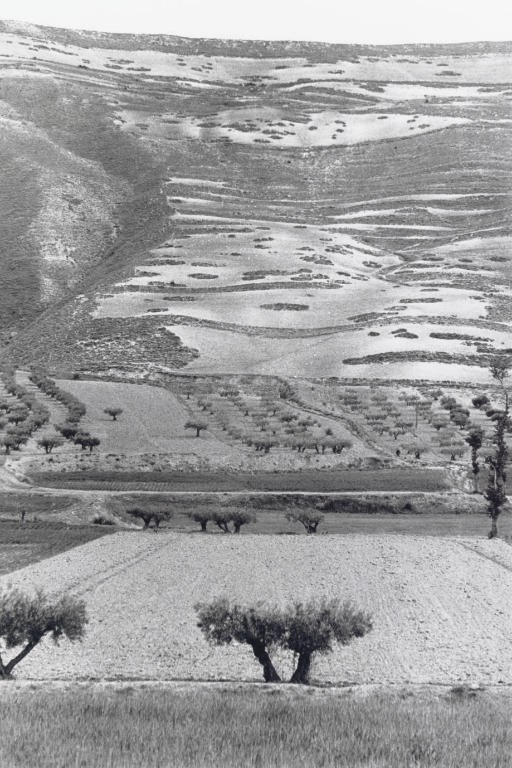 HENRI CARTIER-BRESSON (1908-2004)