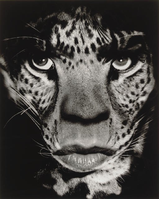 ALBERT WATSON (b. 1942)