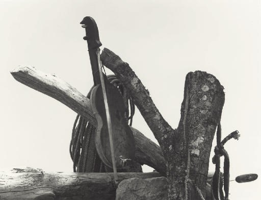MANUEL ÁLVAREZ BRAVO (1902-2002)