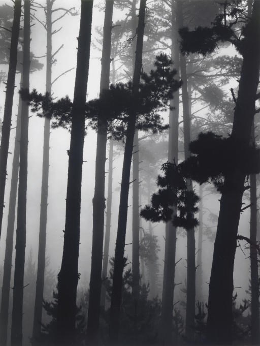 BRETT WESTON (1911-1993)