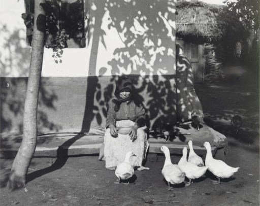 ANDRÉ KERTÉSZ (1894-1985)