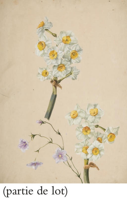 SEBASTIEN WEYMAR (1776-1857)