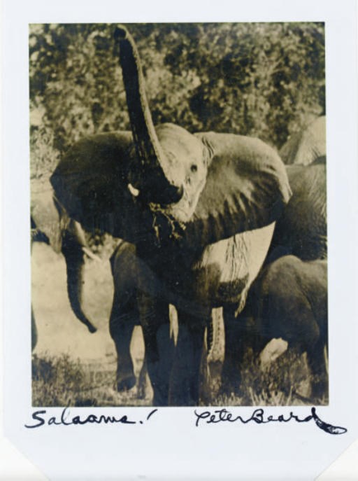 PETER BEARD (B. 1938)