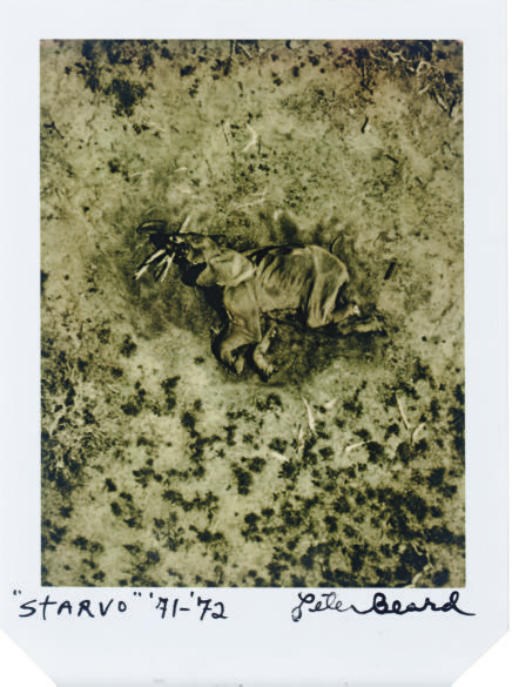 PETER BEARD (b. 1938)