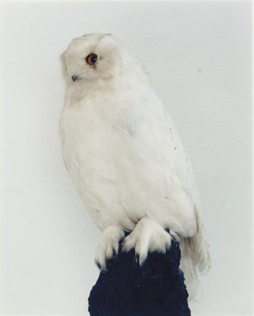 RONI HORN (b. 1955)