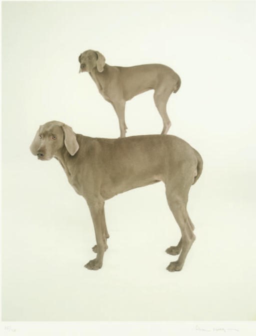 William Wegman (b. 1943)