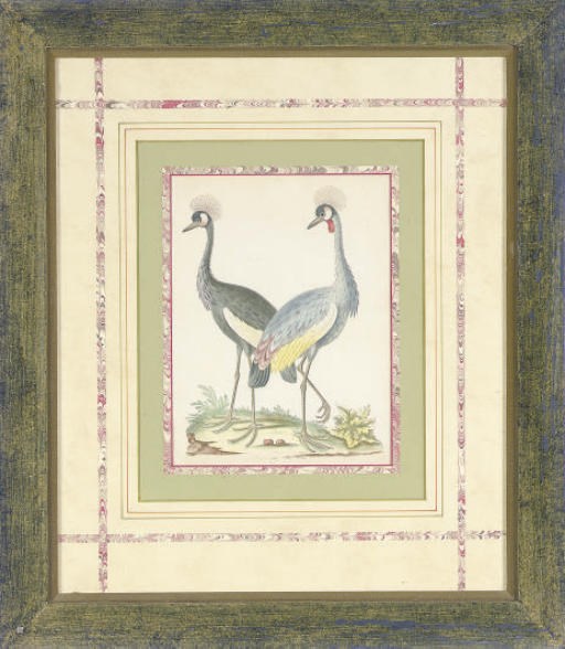 Artist Unknown, 19th Century