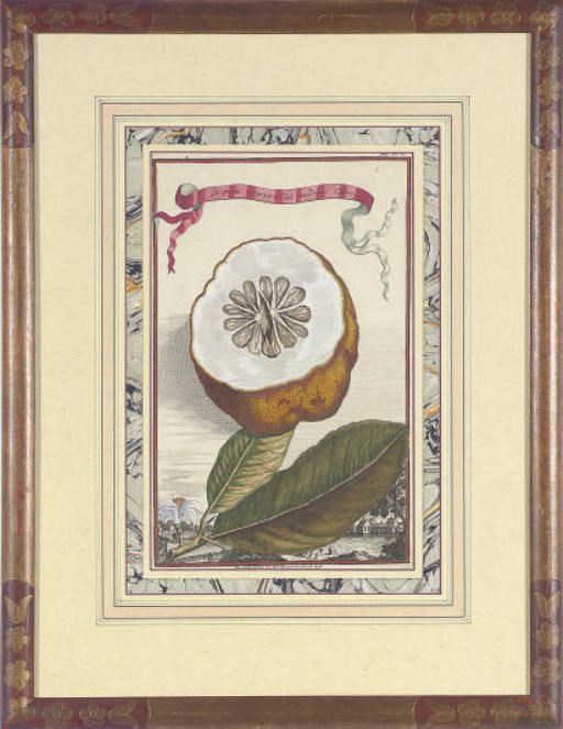 Artist Unknown, 19th Century