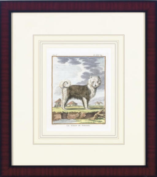 AFTER JACQUES EUSTACHE DE SEVE (1790-1830)