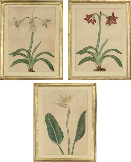 E.M. Hunter (early 19th Century)