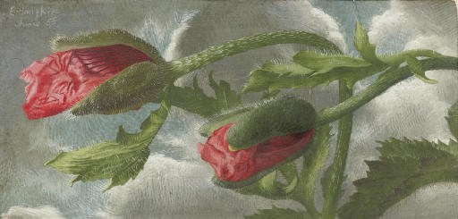 Eliot Hodgkin (1905-1987)