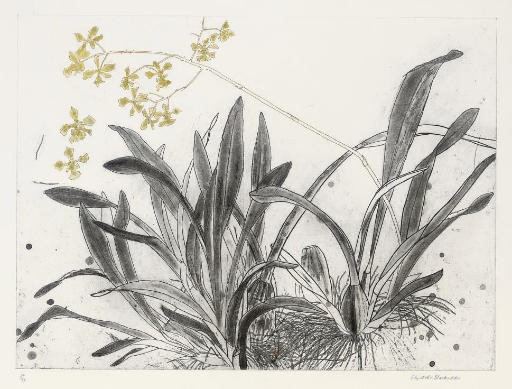Elizabeth Blackadder RA (B.1931)
