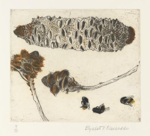 Elizabeth Blackadder RA (B. 1931)