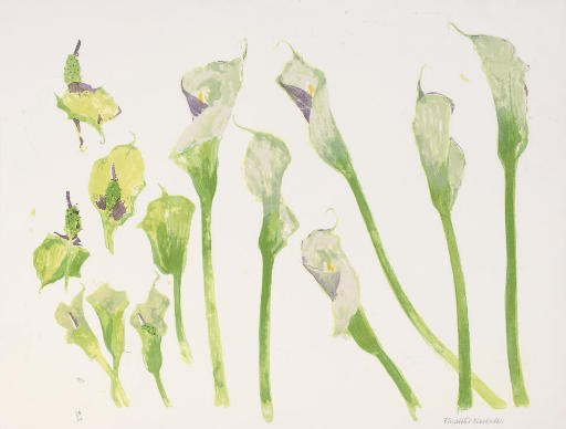 Elizabeth Blackadder RA (B. 1931)