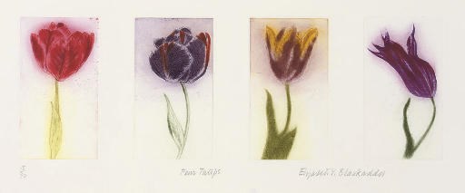 Elizabeth Blackadder RA (B. 1931)