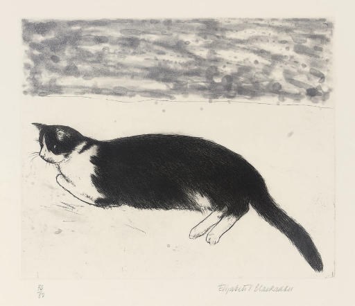 Elizabeth Blackadder RA (B. 1931)