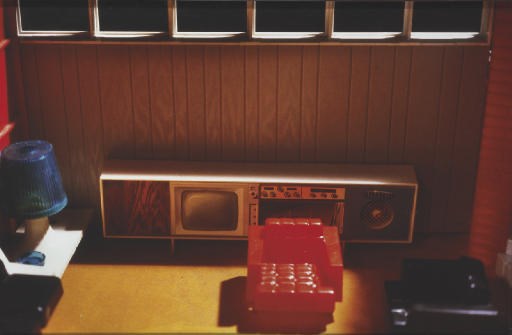 Laurie Simmons (B. 1949)
