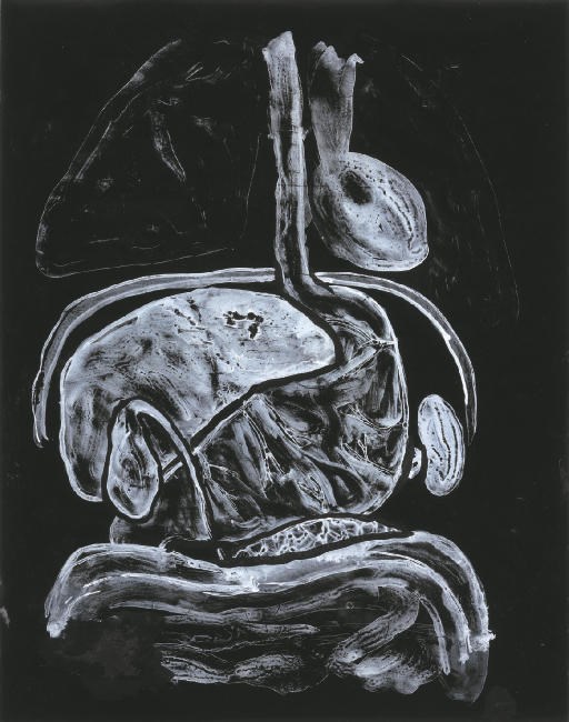 Kiki Smith (b. 1954)