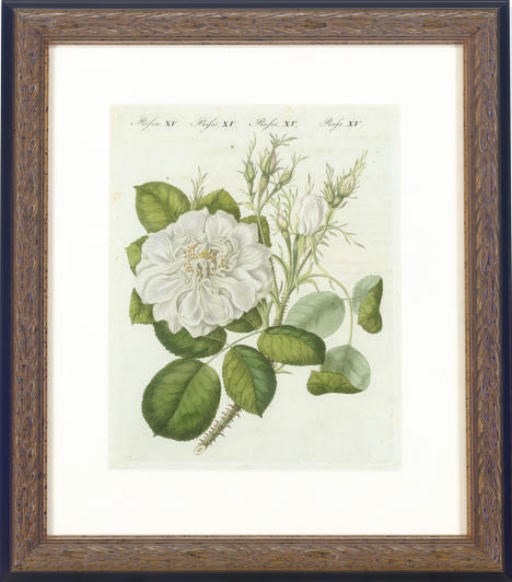 Friedrich Justin Bertuch (1747-1822)