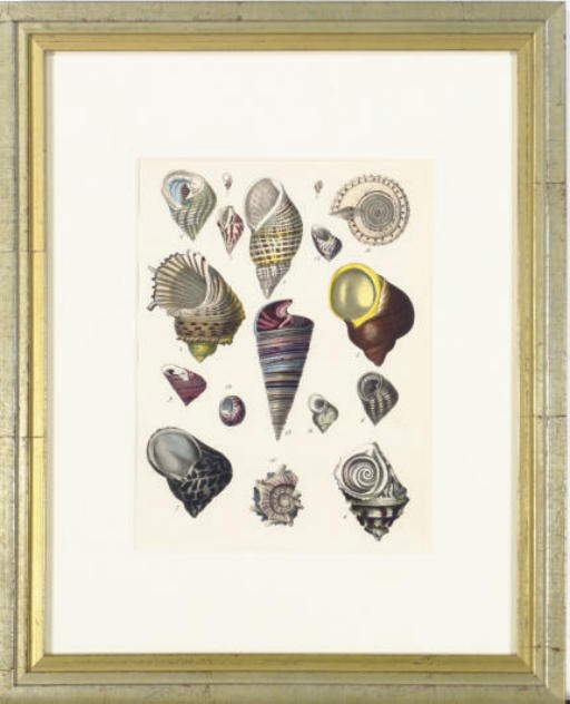 Artist Unknown, 19th Century