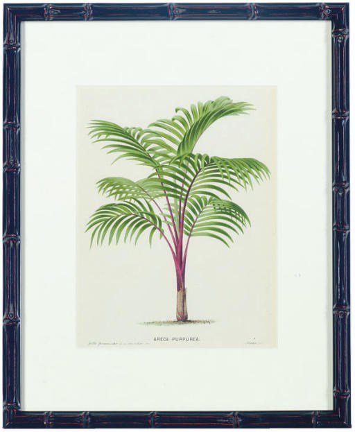 After P. de Pannemaeker (ACTIVE 19TH CENTURY)