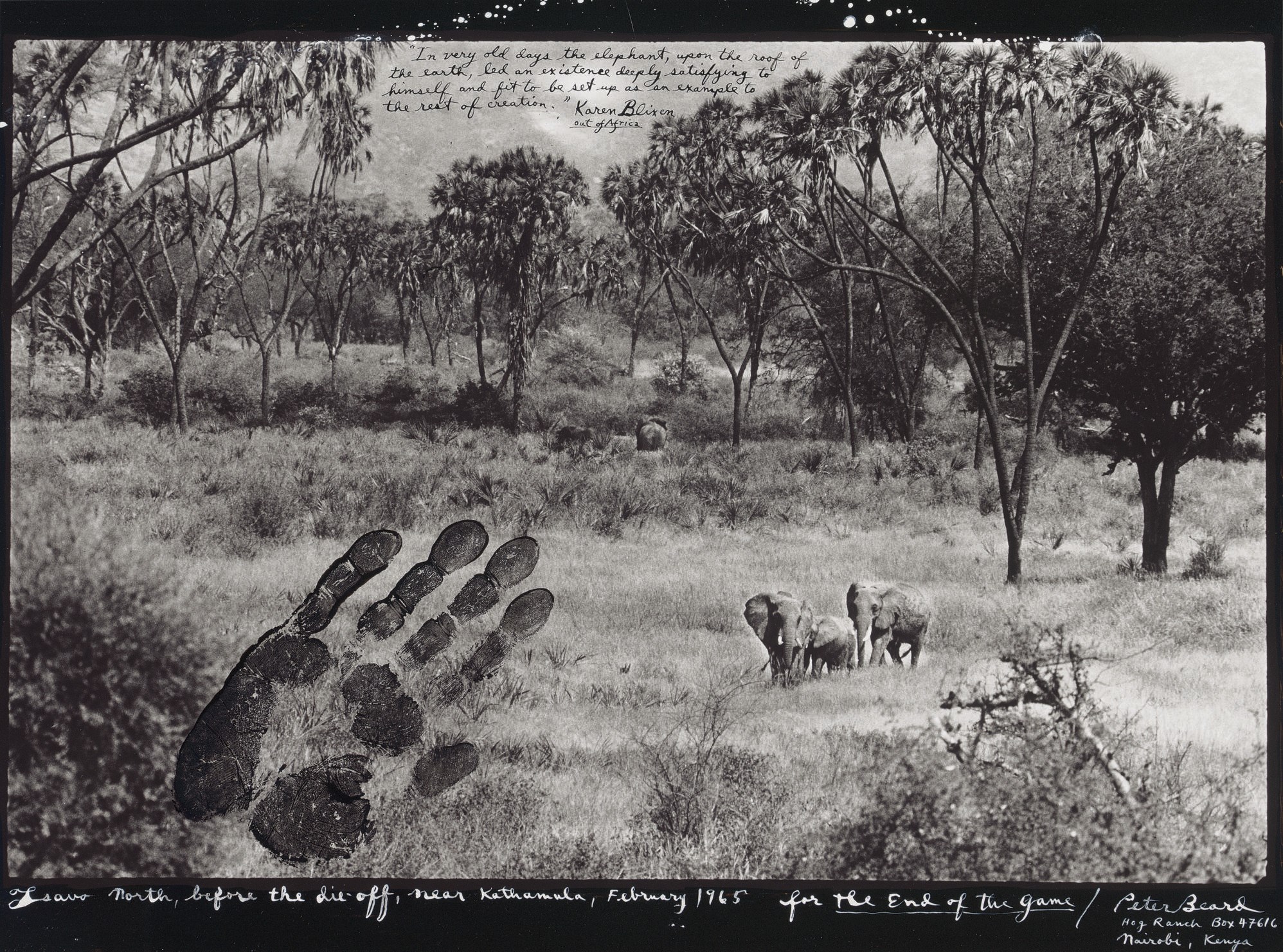 PETER BEARD (B. 1938)