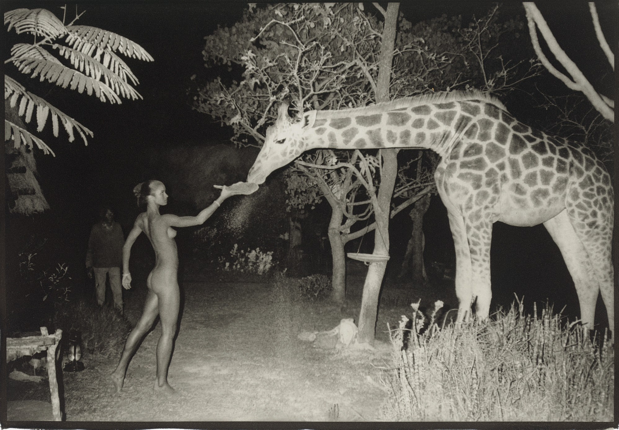 PETER BEARD (B. 1938)