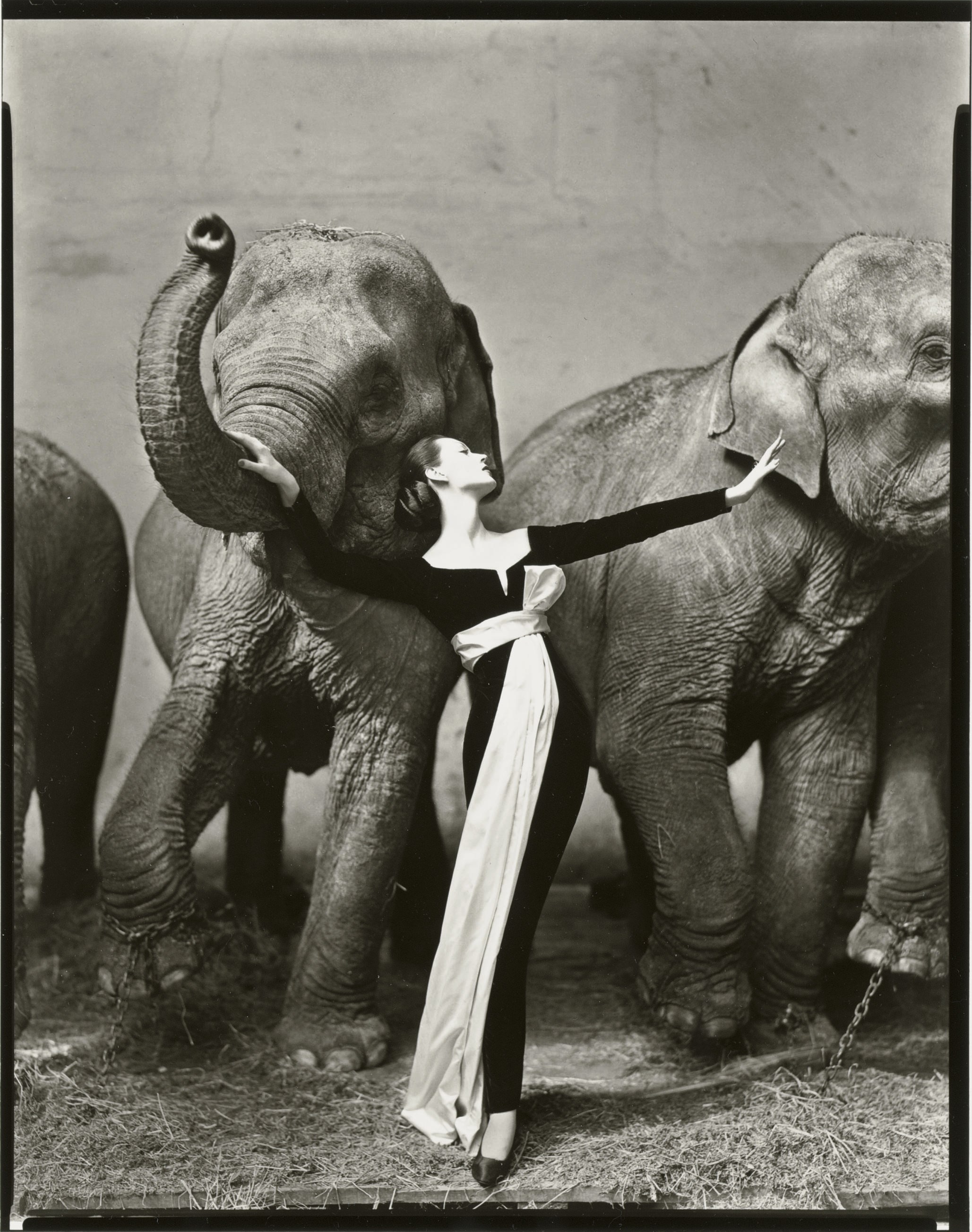 RICHARD AVEDON (1923-2004)