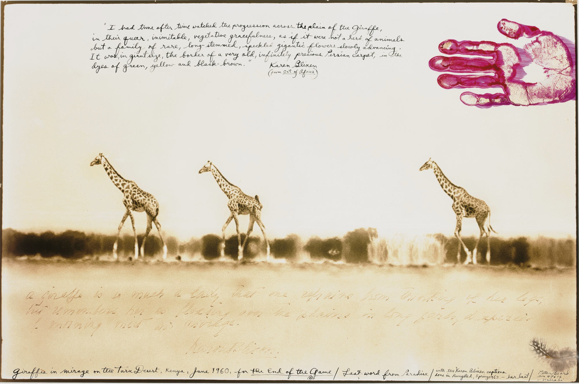 PETER BEARD (B. 1938)