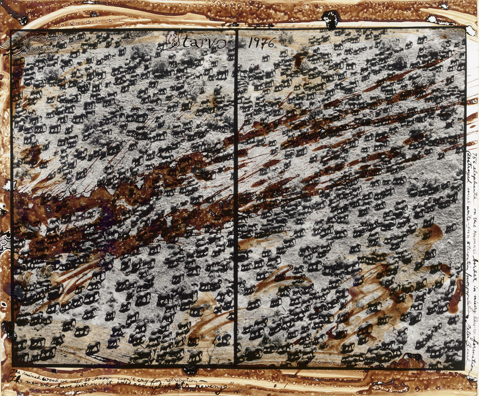 PETER BEARD (B. 1938)