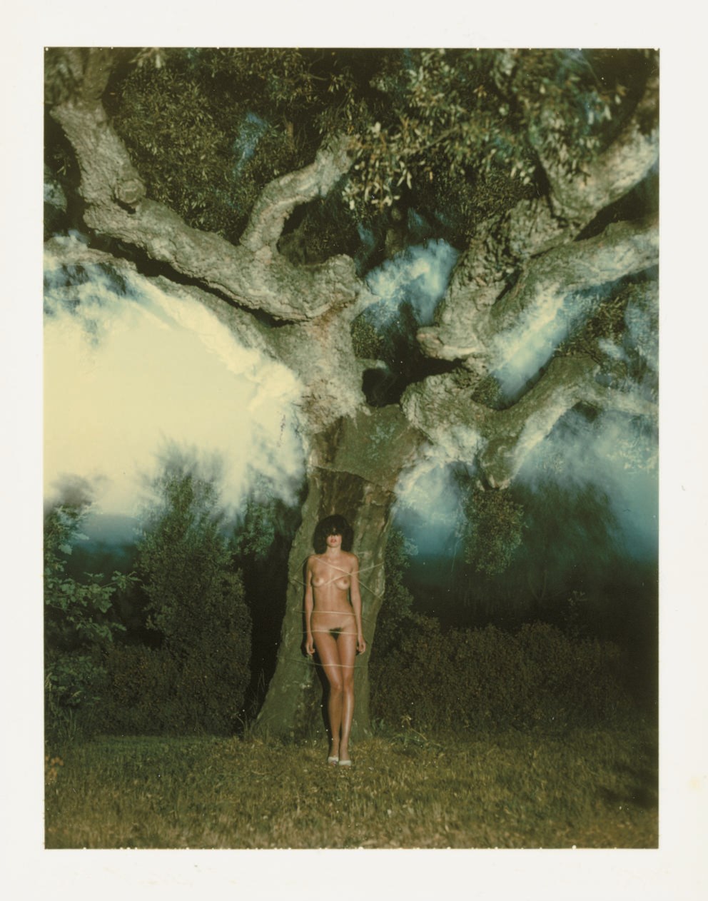 HELMUT NEWTON (1920-2004)