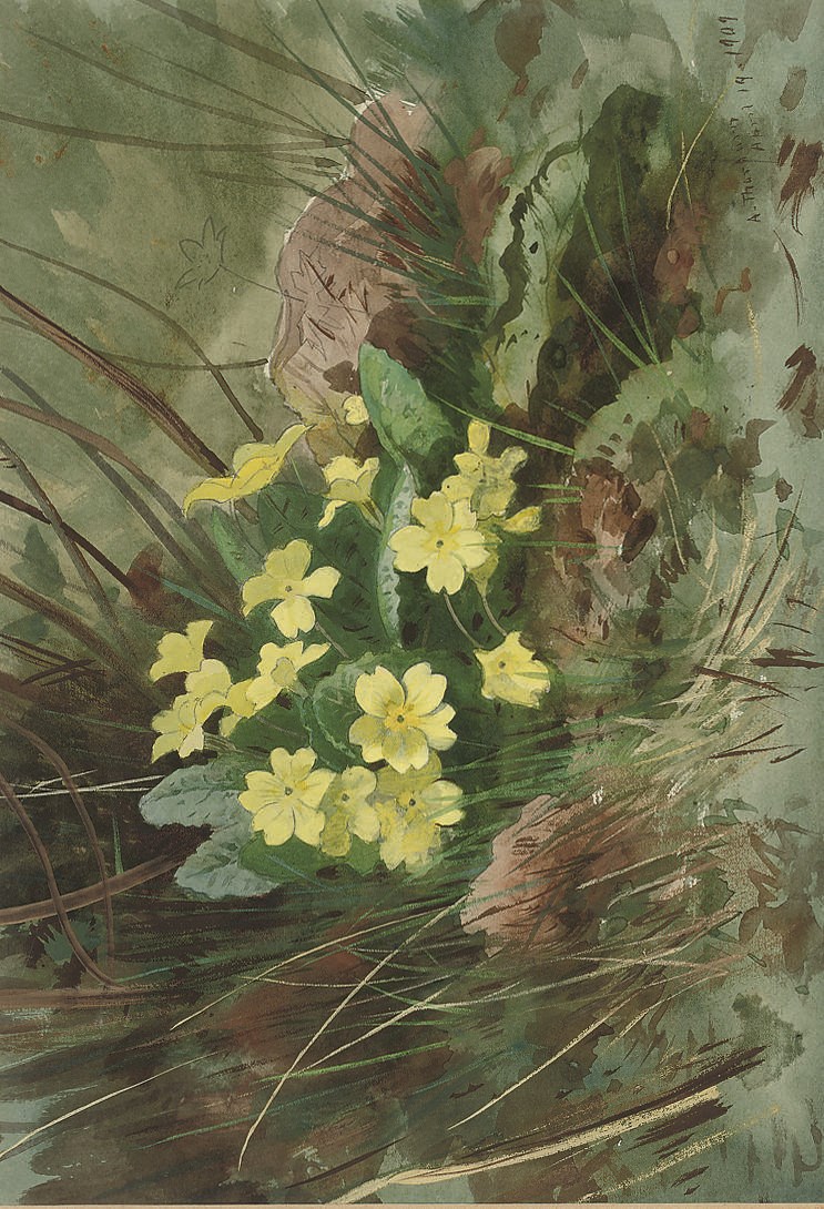 Archibald Thorburn (1860-1935)