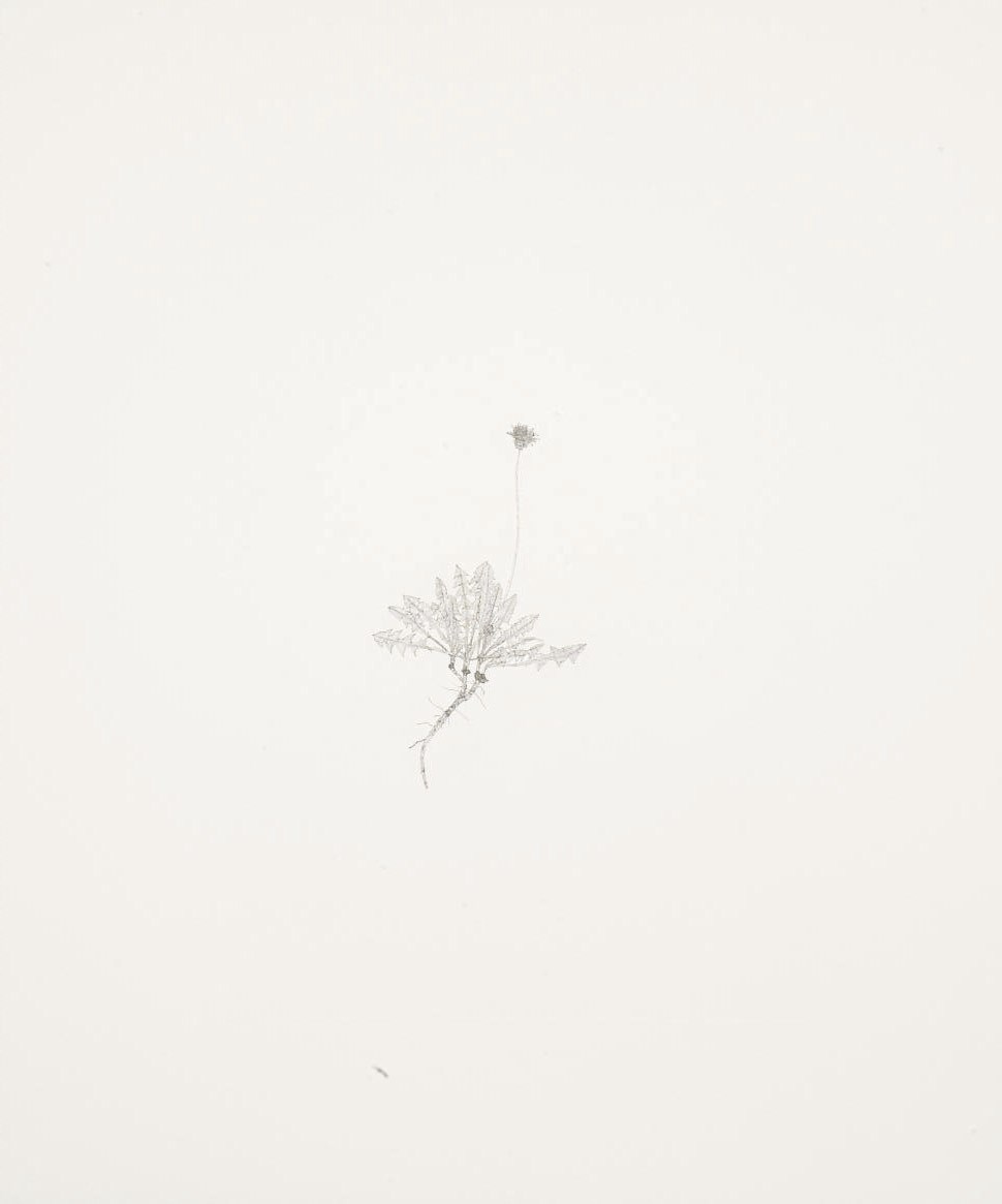 Michael Landy (b. 1964)