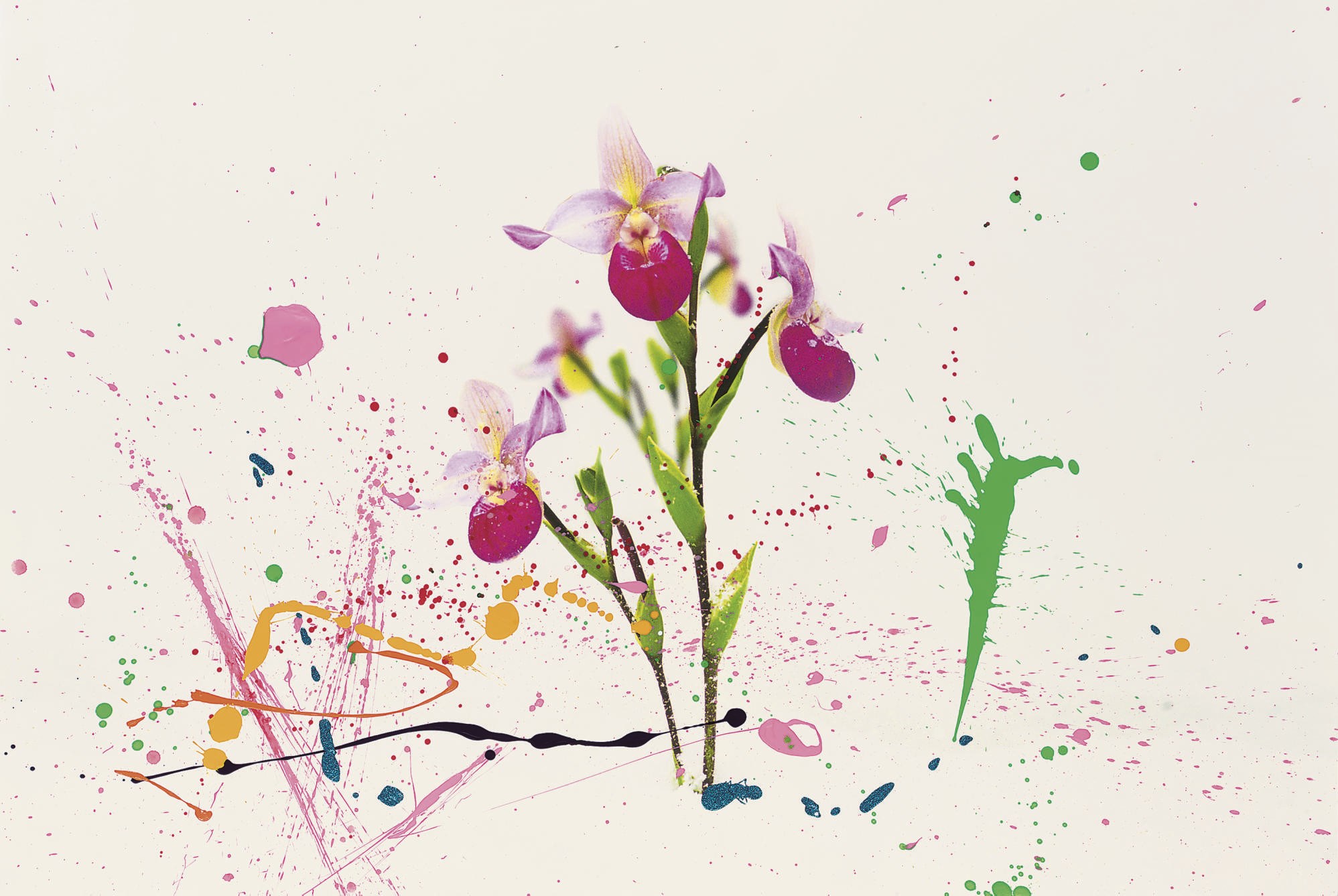 Marc Quinn