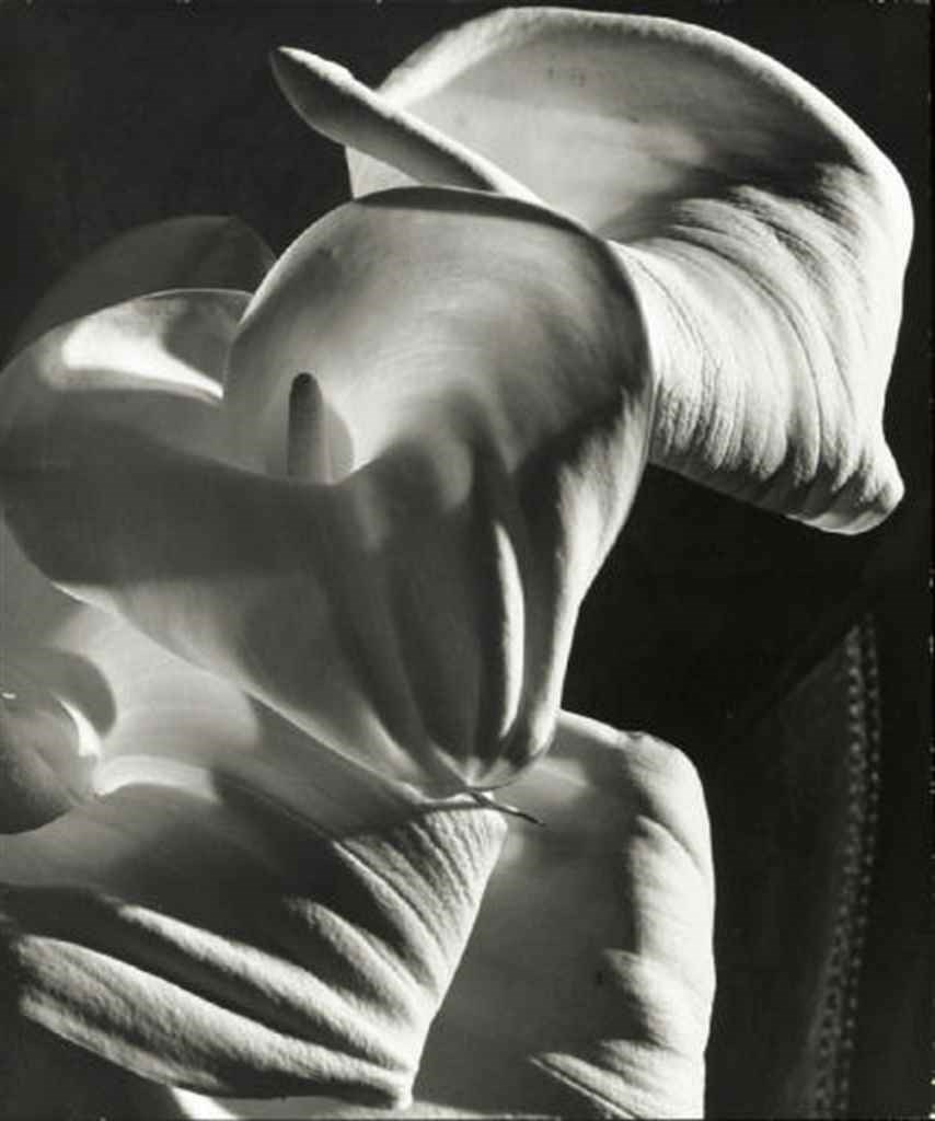 HORST P. HORST (1906-1999)