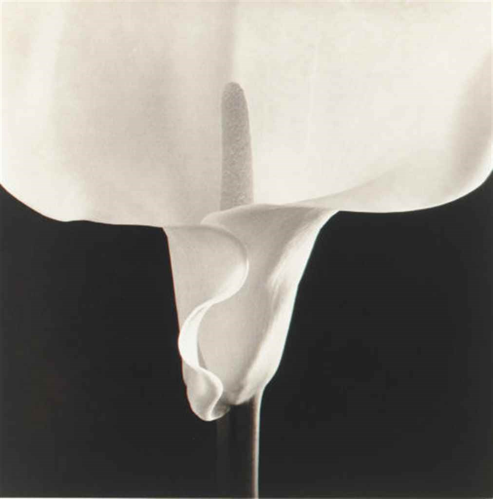 ROBERT MAPPLETHORPE (1946-1989)