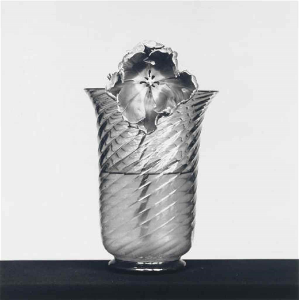 ROBERT MAPPLETHORPE (1946-1989)